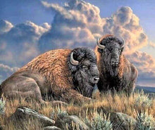 Laden Sie das Bild in den Galerie-Viewer, Diamond Painting, Bison