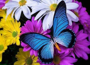 Diamond Painting, Blauer Schmetterling und Blumen