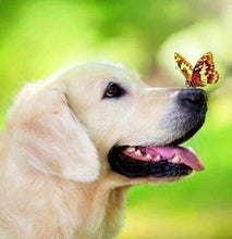 Laden Sie das Bild in den Galerie-Viewer, Diamond Painting, Schmetterling und Labrador
