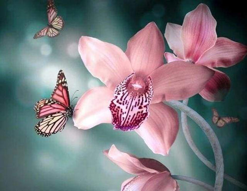 Diamond Painting, Schmetterling und Orchideen