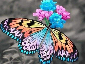 Diamond Painting, Schmetterlinge und Blume