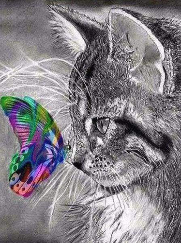 Diamond Painting, Katze und bunter Schmetterling