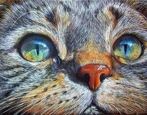 Diamond Painting, Katzengesicht