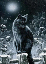 Laden Sie das Bild in den Galerie-Viewer, Diamond Painting, Katze im Schnee