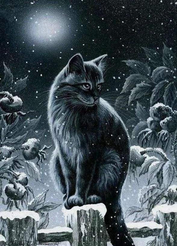 Diamond Painting, Katze im Schnee
