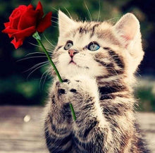 Laden Sie das Bild in den Galerie-Viewer, Diamond Painting, Katze mit Rose