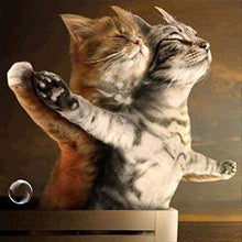 Laden Sie das Bild in den Galerie-Viewer, Diamond Painting, Katzen Titanic