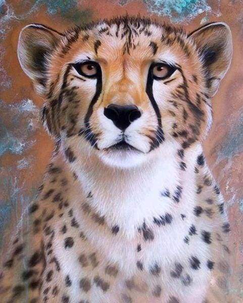 Diamond Painting, Gepard Gesicht