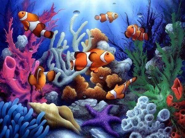 Diamond Painting, Echter Clownfisch
