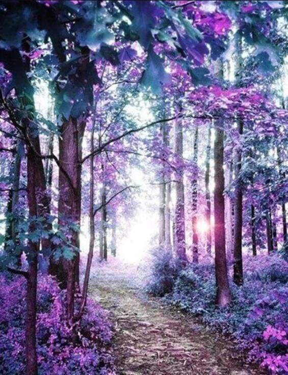 Diamond Painting, Bunter Wald
