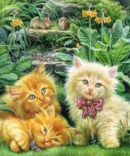 Laden Sie das Bild in den Galerie-Viewer, Diamond Painting, Nette Kätzchen im Garten