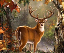 Laden Sie das Bild in den Galerie-Viewer, Diamond Painting, Hirsch im Wald