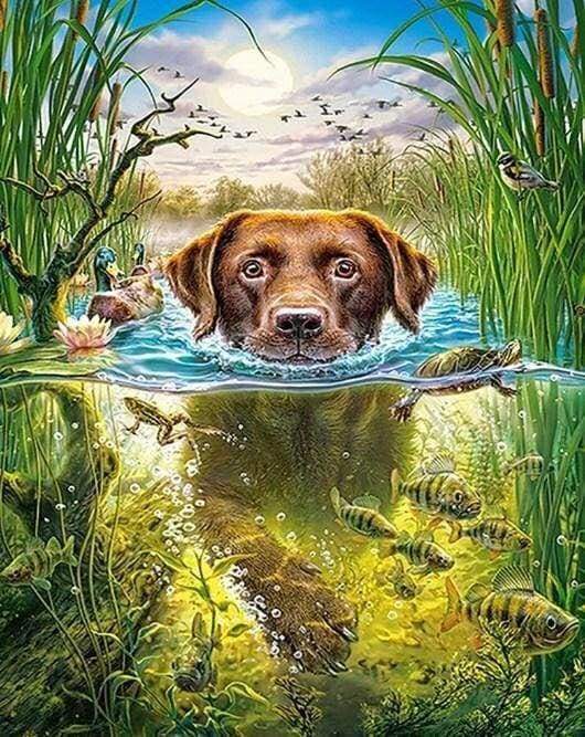 Diamond Painting, Hund im Fluss