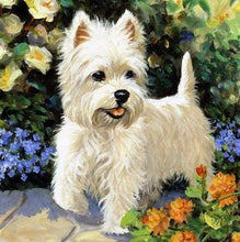 Laden Sie das Bild in den Galerie-Viewer, Diamond Painting, Westie Hund