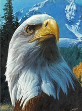 Laden Sie das Bild in den Galerie-Viewer, Diamond Painting, Adler und Berg