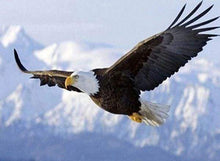 Laden Sie das Bild in den Galerie-Viewer, Diamond Painting, Adler im Flug