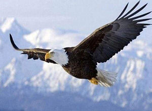 Diamond Painting, Adler im Flug