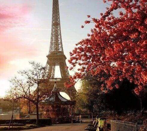 Diamond Painting, Eiffelturm und rote Blumen