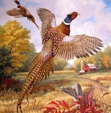 Laden Sie das Bild in den Galerie-Viewer, Diamond Painting, Fliegende Fasanen