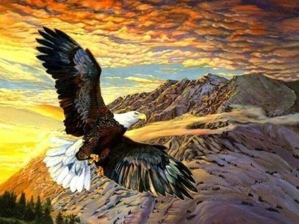 Diamond Painting, Flug des Adlers
