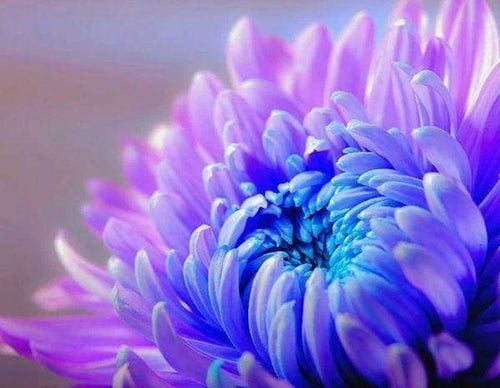 Diamond Painting, Blumenblüte