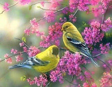 Laden Sie das Bild in den Galerie-Viewer, Diamond Painting, Blühender Zweig auf Vögel