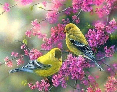 Diamond Painting, Blühender Zweig auf Vögel