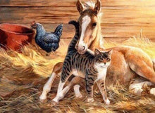 Laden Sie das Bild in den Galerie-Viewer, Diamond Painting, Fohlen und Katze