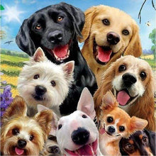 Laden Sie das Bild in den Galerie-Viewer, Diamond Painting, Freundlich Hunde