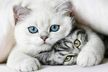 Laden Sie das Bild in den Galerie-Viewer, Diamond Painting, Befreundete Katzen