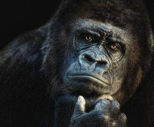 Diamond Painting, Gorilla