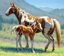 Laden Sie das Bild in den Galerie-Viewer, Diamond Painting, Pferd und Fohlen