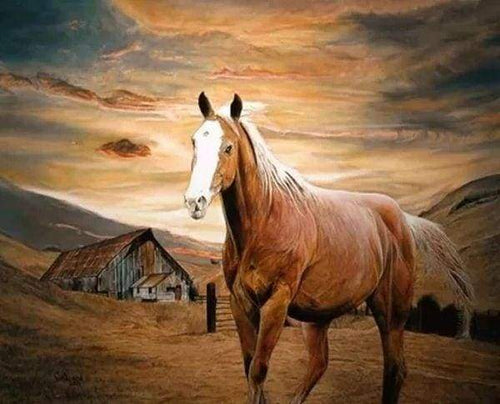 Diamond Painting, Pferd in der Dämmerung