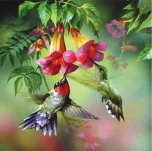 Laden Sie das Bild in den Galerie-Viewer, Diamond Painting – Kolibri