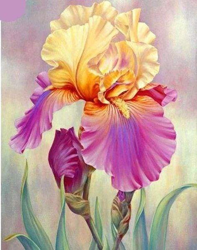 Diamond Painting, Schwertlilie zweifarbig