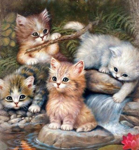 Diamond Painting, Kätzchen