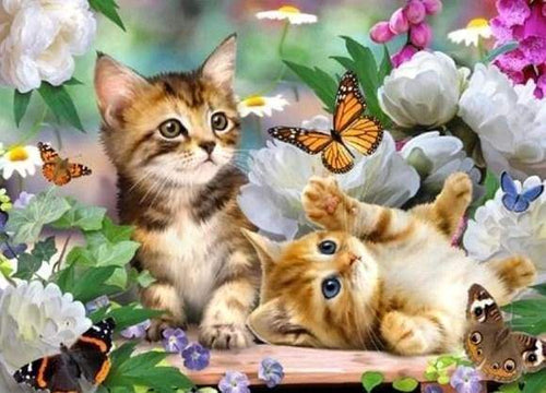 Diamond Painting, Kätzchen und Schmetterlinge