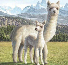 Laden Sie das Bild in den Galerie-Viewer, Diamond Painting, Lama