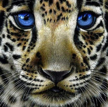 Laden Sie das Bild in den Galerie-Viewer, Diamond Painting, Leopard mit blauen Augen