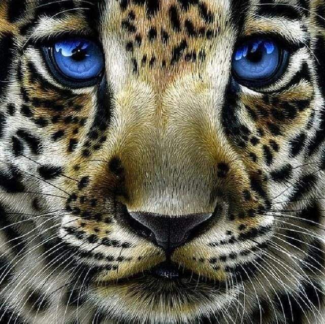 Diamond Painting, Leopard mit blauen Augen