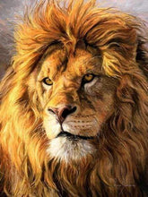 Laden Sie das Bild in den Galerie-Viewer, Diamond Painting, Löwe