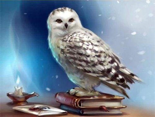 Diamond Painting, Eule und Buch