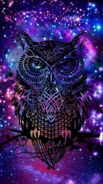 Diamond Painting, Eule in der Nacht