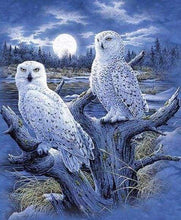 Laden Sie das Bild in den Galerie-Viewer, Diamond Painting, Eulen und Mond