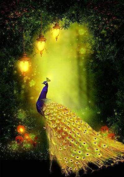Diamond Painting, Pfau und Licht