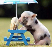 Laden Sie das Bild in den Galerie-Viewer, Diamond Painting, Schwein und Eis