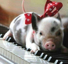 Laden Sie das Bild in den Galerie-Viewer, Diamond Painting, Schwein und Klavier