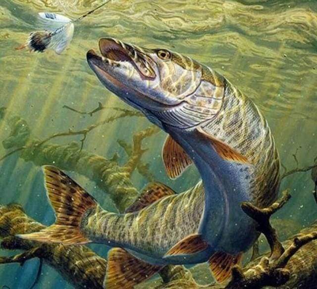 Diamond Painting, Fisch im See