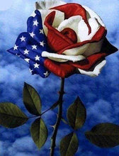 Laden Sie das Bild in den Galerie-Viewer, Diamond Painting, Rosa amerikanische Flagge