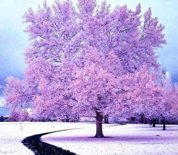 Diamond Painting, Rosaroter Baum im Schnee